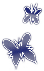 farfalle